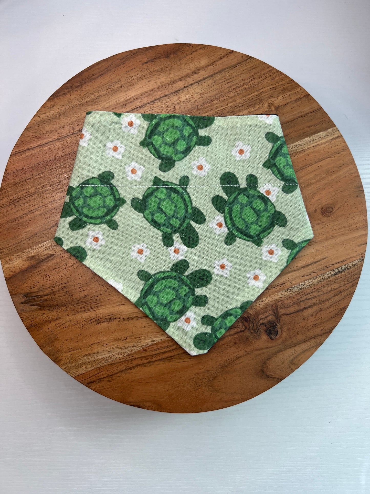 Turtle Bandana