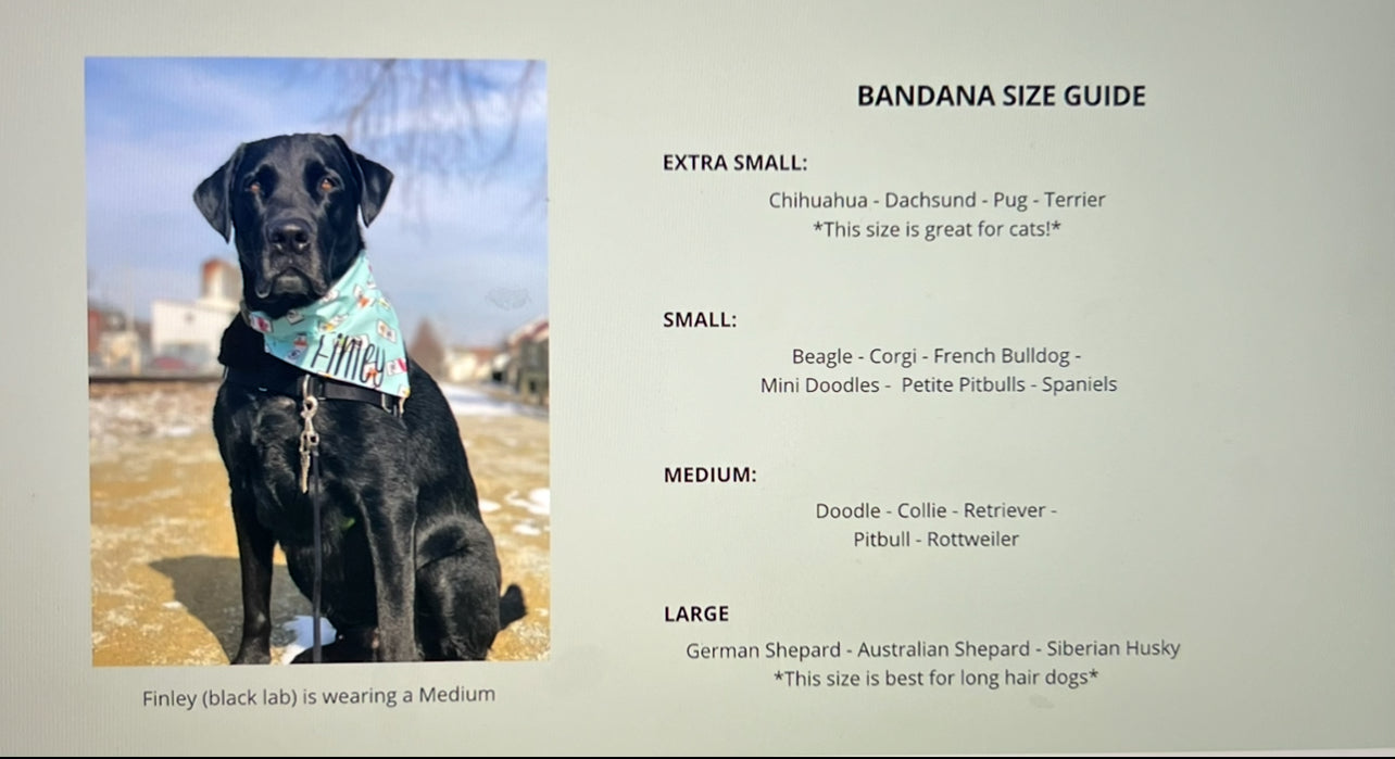 Camping Bandana