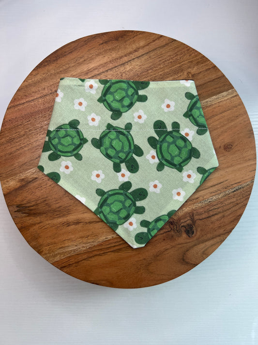 Turtle Bandana