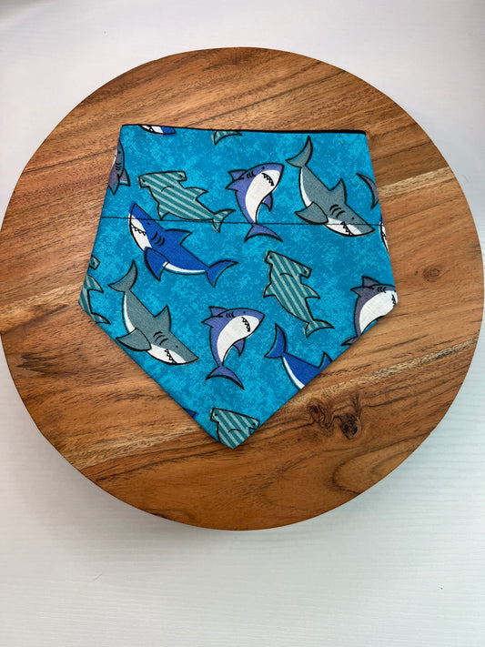 Shark Bandana