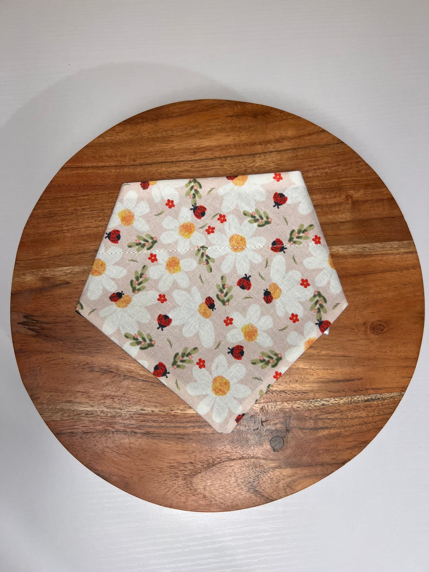 Lady Bug Bandana