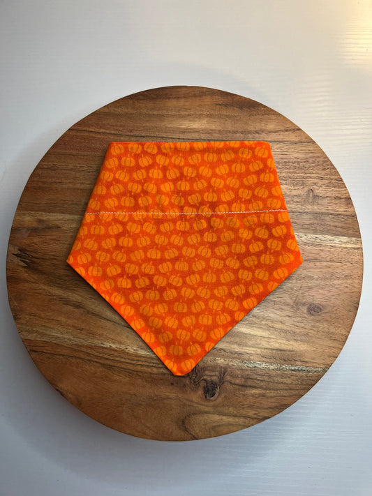 Small Pumpkins Bandana