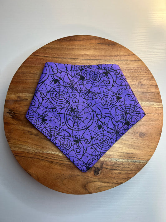 Spider Webs Bandana