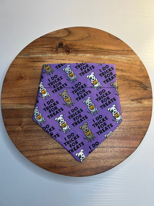 Tricks for Treats Bandana